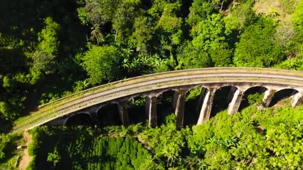 スリランカのエラ近くの高地にある9つのアーチ橋上からの眺め ジャングルとお茶のプランテーション周辺 — ストック動画