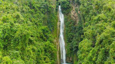 Yeşil ormanda güzel bir şelale, üst manzara. Tropik Mantayupan Şelalesi dağ ormanlarında, Filipinler, Cebu. Tropikal ormanda şelale.