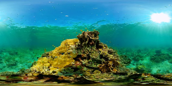 Τροπική Θάλασσα Και Κοραλλιογενή Ύφαλο Υποβρύχια Ψάρια Και Coral Garden — Φωτογραφία Αρχείου