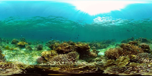 Marint Undervattensrev Tropiska Färgglada Undervattens Kustlandskap Filippinerna Virtuell Verklighet 360 — Stockfoto