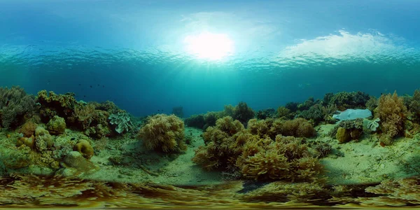 Víz Alatti Világ Korallzátonnyal Trópusi Halakkal Utazás Nyaralás Koncepció 360 — Stock Fotó