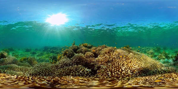 Vízalatti Korallzátony Víz Alatti Tengeri Halak Trópusi Zátony Tengerészgyalogos Színes — Stock Fotó
