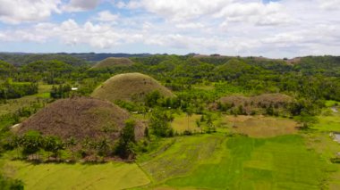 Filipinler 'in Bohol adasındaki inanılmaz şekilli çikolata tepelerinin manzarası.
