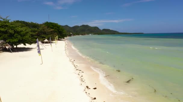 Prachtig Tropisch Strand Met Wit Zand Palmbomen Turquoise Oceaan Bohol — Stockvideo