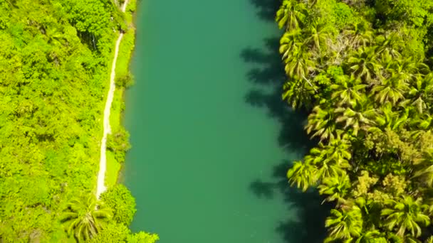 Prachtige Natuur Van Loboc Rivier Tropisch Groen Bos Bohol Filipijnen — Stockvideo
