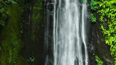 Tropikal bir ormandaki şelalenin havadan görünüşü. Ağır çekim. Pulang Tubig Şelalesi. Zenciler, Filipinler.