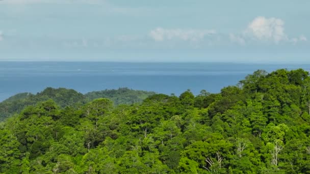 Vista Superior Mar Através Selva Floresta Tropical Bornéu Sabah Malásia — Vídeo de Stock