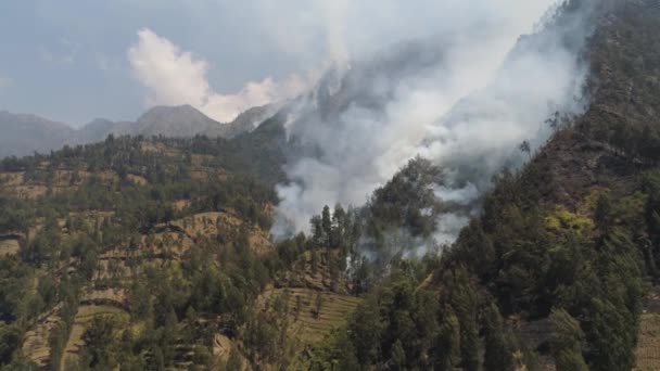 山の森で火事だ 空中ビュー森林火災や斜面の丘の上に煙 熱帯雨林の山での野火 ジャワインドネシア 東南アジアの自然災害 — ストック動画