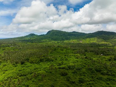 Adanın havadan görünüşü tropikal orman ve ormanla kaplıdır. Balabac, Palawan. Filipinler.