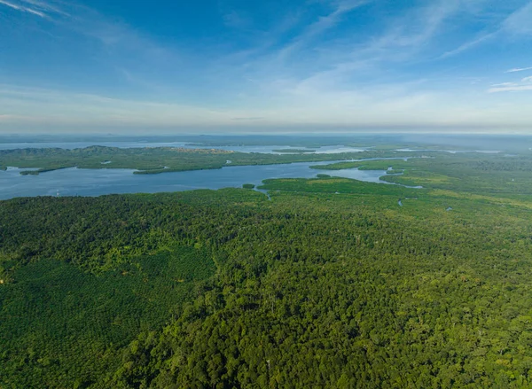 Vue Aérienne Mer Sur Côte Île Bornéo Avec Végétation Tropicale — Photo