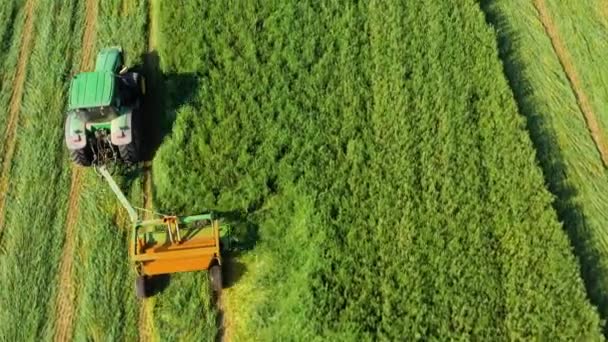 Agricultor Cortando Grama Usando Trator Com Cortador Grama Rotativo Pecuária — Vídeo de Stock