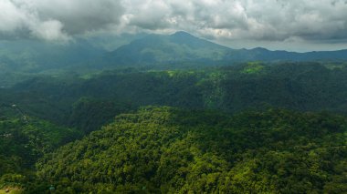 Dağ yamaçlarında yağmur ormanları ve orman manzarası var. Zenciler, Filipinler