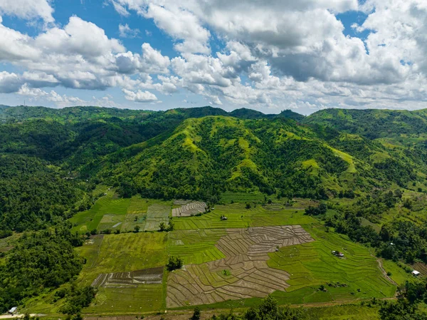 Vista Superior Plantaciones Arroz Tierras Cultivo Entre Las Montañas Negros — Foto de Stock
