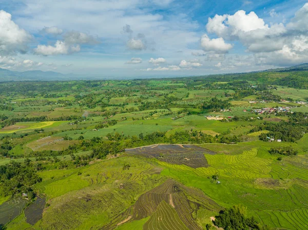 Рисовые Плантации Сельскохозяйственные Угодья Фермеров Горной Долине Негрос Филиппины — стоковое фото