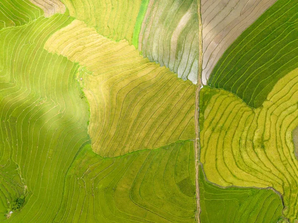 Veduta Aerea Case Agricoltori Tra Risaie Terreni Agricoli Negros Filippine — Foto Stock