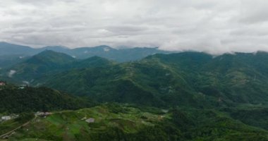 Dağların yamaçlarındaki tarım arazilerinin havadan görünüşü. Tropiklerde yeşil bitki örtüsü olan dağlar ve tepeler. Borneo, Sabah, Malezya.