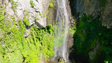 Ormandaki şelalenin havadan görünüşü. Ağır çekim. Zenciler, Filipinler.