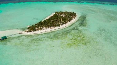 Okyanustaki tropikal ada. Beyaz kumsalda palmiye ağaçları var. Onok Adası, Balabac, Filipinler. Yaz ve seyahat tatil konsepti