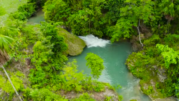 Lusno Cae Selva Isla Cebú Filipinas Cascada Bosque Verde — Vídeos de Stock