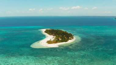 Tropikal Canimeran adası. Mavi denizde kumlu bir sahil. Mercan resifleri var. Yaz ve seyahat tatili konsepti. Balabac, Palawan, Filipinler.