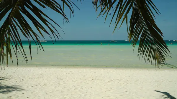Playa Arenosa Tropical Mar Azul Través Ramas Palmeras Concepto Vacaciones — Foto de Stock
