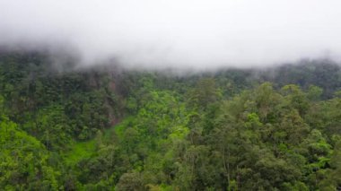 Yağmur bulutları yeşil orman dağının tepesini kapladı. Tropikal iklimde yağmur bulutları. Filipinler, Mindanao.