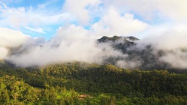 Gün doğumunda dağlarda yemyeşil yağmur ormanı. Filipinler, Mindanao adasındaki ormanın insansız hava aracı görüntüsü.
