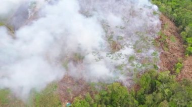 Dağlarda orman yangını. Yangını doğal habitatı yok etmek ve Asya 'da büyük ölçekli çevresel hasara neden olmak. Mindanao, Filipinler