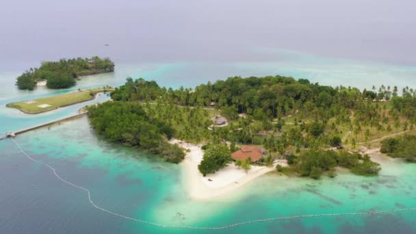 Île Avec Belle Plage Palmiers Par Vue Sur Eau Turquoise — Video