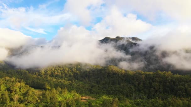 Gün Doğumunda Dağlarda Yemyeşil Yağmur Ormanı Filipinler Mindanao Adasındaki Ormanın — Stok video