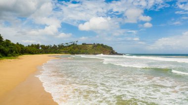 Palmiye ağaçları ve dalgalı deniz sörfü olan güzel kumlu bir sahil. Talalla Plajı, Sri Lanka.