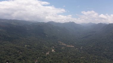 Aerial view of Mountain peaks covered with forest from above. Sri Lanka.