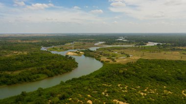 Sri Lanka 'daki ormanlar ve ormanlar arasındaki nehrin havadan görünüşü.