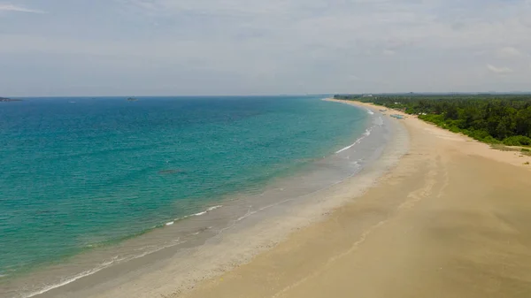 一个热带海滩 有棕榈树和蓝色的海洋 斯里兰卡 — 图库照片