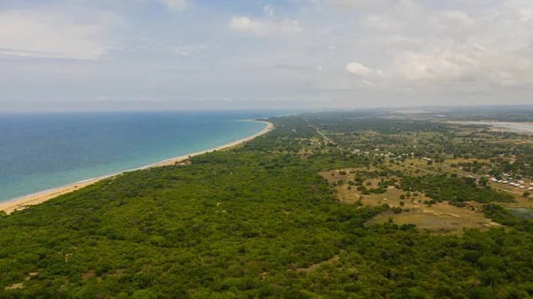 Aerial View Sandy Beach Palm Trees Ocean Surf Waves Sri — Stockfoto