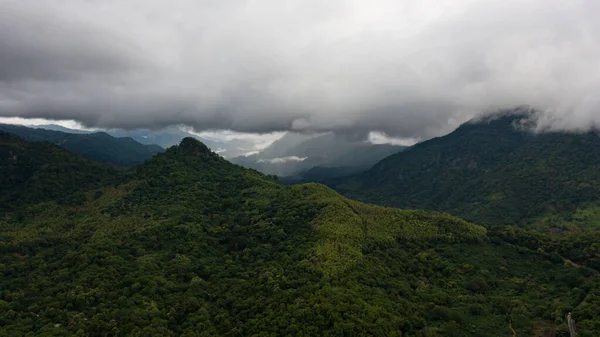 Montagnes Avec Forêt Tropicale Jungle Dans Province Montagneuse Sri Lanka — Photo