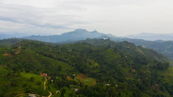 stock image Top view of Tropical landscape with Tea estate among the mountains. Tea plantations in Sri Lanka.