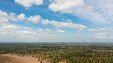 Ulusal parkın en iyi orman ve yağmur ormanları manzarası. Sri Lanka.