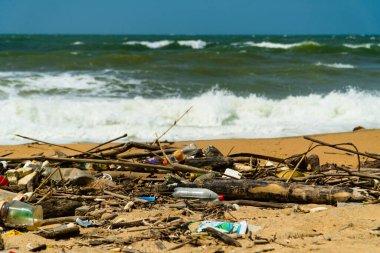 Plajdaki plastik ve odun atıkları çevreyi kirletiyor. Negombo, Sri Lanka.