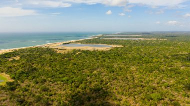 Aerial view of Lakes among the rainforest in the Kumana National Park. Sri Lanka. Tropical landscape.