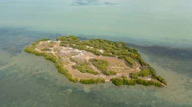 Sri Lanka 'da bitki örtüsü olan tropikal bir ada.