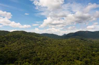 Ormanla kaplı dağ tepeleri olan dağ manzarası. Dağların yamaçlarında hep yeşil bitkiler olur. Sri Lanka.
