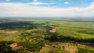 Vadide ekinleri olan tarım arazileri ve tarım arazileri. Kırsal alan. Sri Lanka.