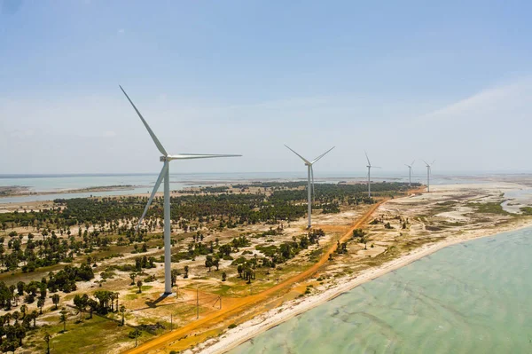 Yenilenebilir enerji üretimi için yel değirmenleri grubunun hava görüntüsü. Jaffna, Sri Lanka. Rüzgâr Güç İstasyonu.