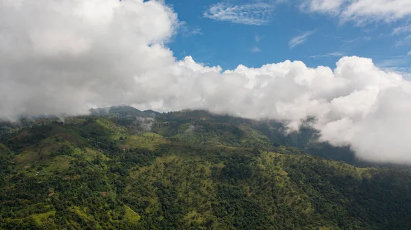 斯里兰卡山区和丛林中的热带绿色森林 — 图库照片