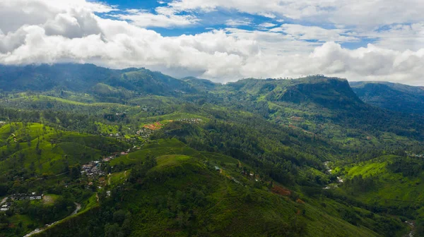 Воздушный Беспилотник Горного Ландшафта Чайным Комплексом Чайные Плантации Шри Ланки — стоковое фото