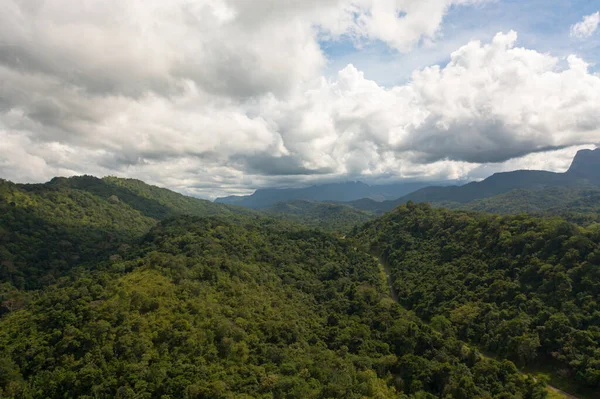 Montagnes Avec Forêt Verte Vallée Montagne Sri Lanka — Photo
