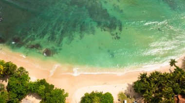 Palmiye ağaçlarının arasında Hiriketiya plajı olan bir koy. Sri Lanka 'da sörf yeri.