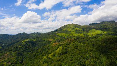 Mountain landscape: Mountain slopes covered with rainforest and jungle View from above.Sri Lanka.