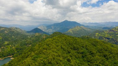 Sri Lanka dağlarındaki yeşil yağmur ormanı ve orman yukarıdan görünüyor..